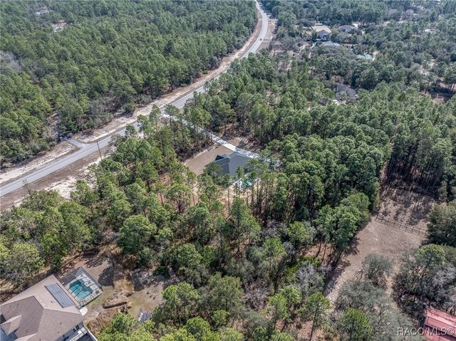 6229 W Pine Ridge Boulevard, Beverly Hills, FL 34465