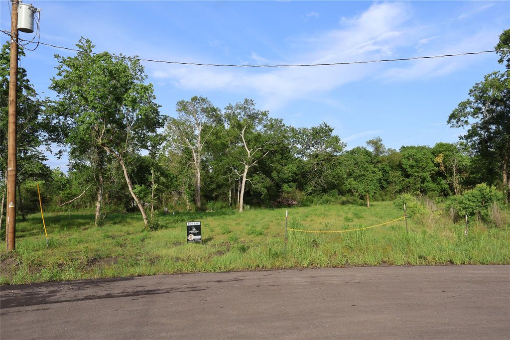 496 Road 48619, Dayton, TX 77535