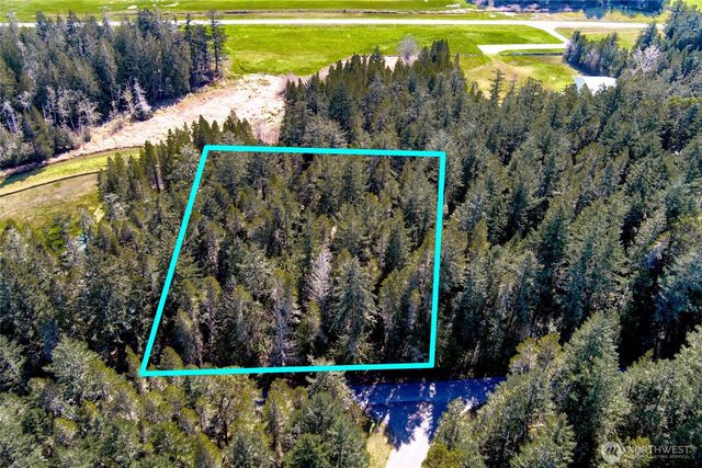 1111 Tarte Road, Friday Harbor, WA 98250