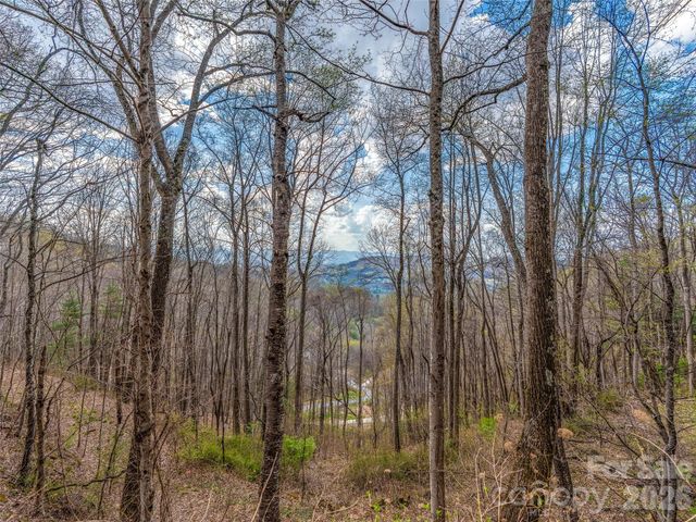 34 Mountain Vista Drive, Asheville, NC 28804