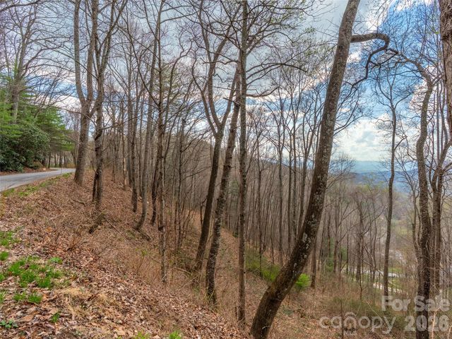 34 Mountain Vista Drive, Asheville, NC 28804