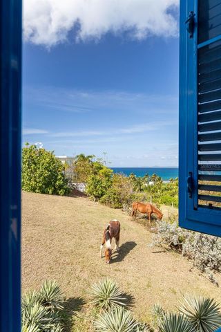 310 BRAVOS DE BOSTON, Vieques, PR 00765