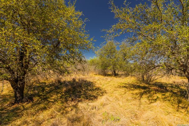 726 Tierra Linda, Concan, TX 78838