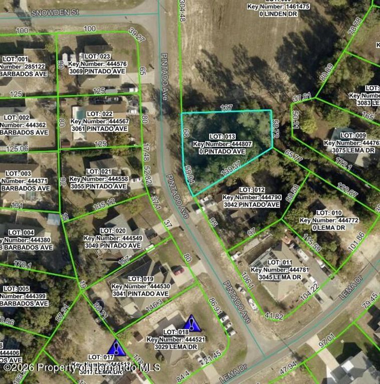 3060 Pintado Avenue, Spring Hill, FL 34609