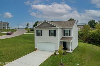 9320 River Cane Rd, Mascot, TN 37806