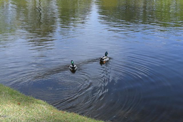 2434 Swans Rest Way, Raleigh, NC 27606