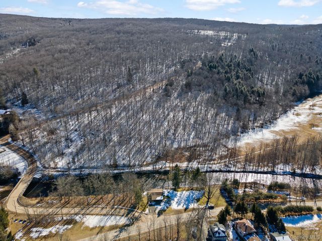 640 Debruce Road, Livingston Manor, NY 12758