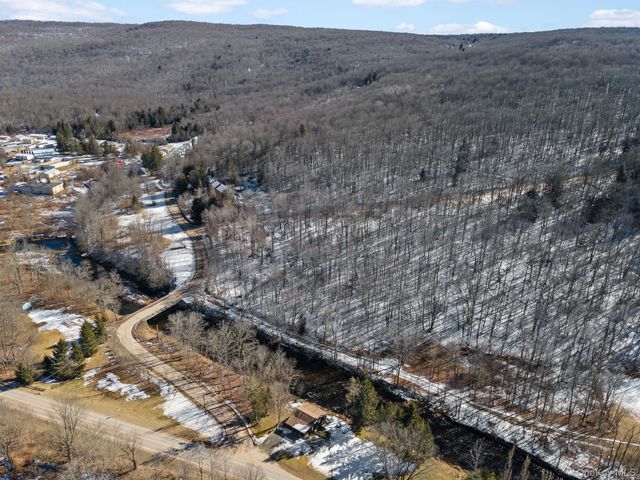 640 Debruce Road, Livingston Manor, NY 12758