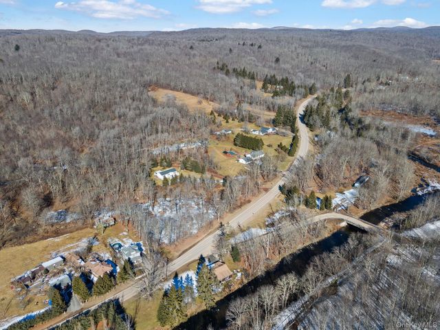 640 Debruce Road, Livingston Manor, NY 12758