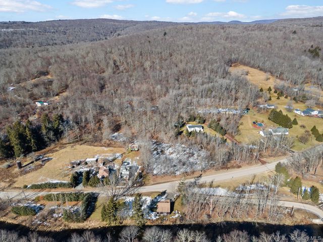 640 Debruce Road, Livingston Manor, NY 12758