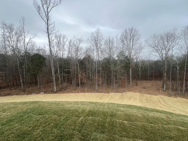 701 Sandringham Ct, Clarksville, TN 37043