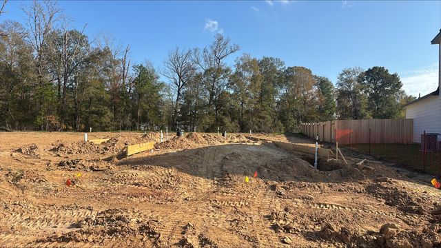 20919 Wildbird Cherry Lane, Porter, TX 77365