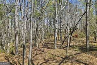 117 Heritage Plantation Drive, Ball Ground, GA 30107