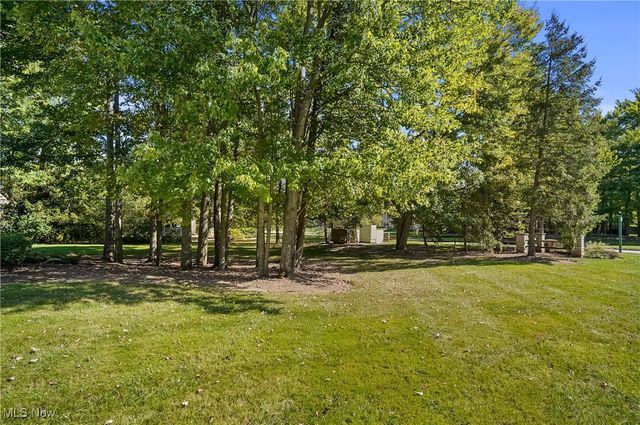 10502 White Ash Trail, Twinsburg, OH 44087