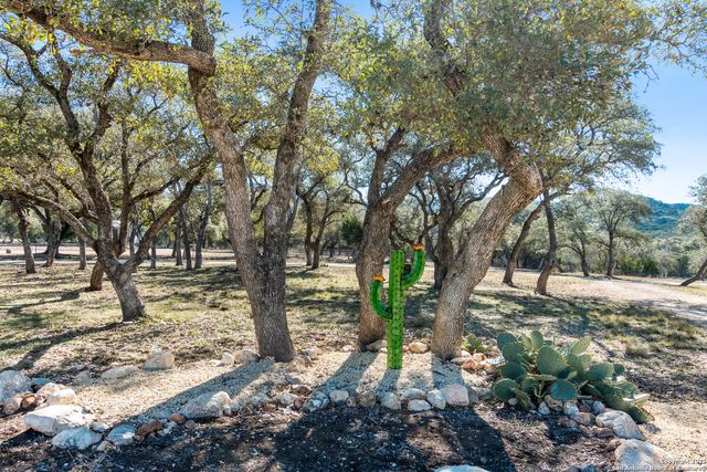 381 Camino Primero, Leakey, TX 78873