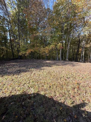 0 Collins Road, Allons, TN 38541