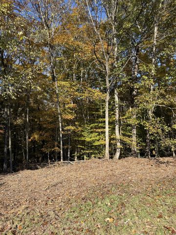 0 Collins Road, Allons, TN 38541