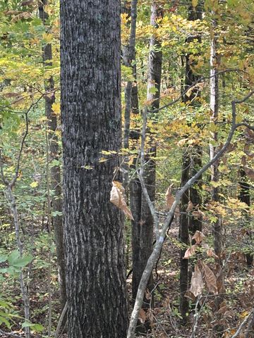 0 Collins Road, Allons, TN 38541