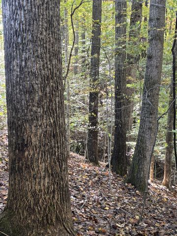 0 Collins Road, Allons, TN 38541