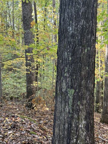 0 Collins Road, Allons, TN 38541