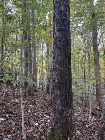 0 Collins Road, Allons, TN 38541