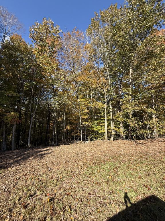 0 Collins Road, Allons, TN 38541