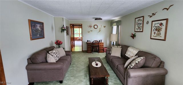 593 Furnace Road, Conneaut, OH 44030