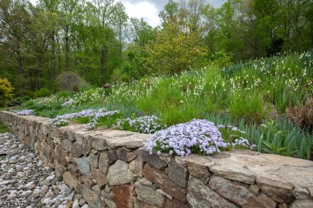 119 Turtleback Rd, Washington Twp., NJ 07830