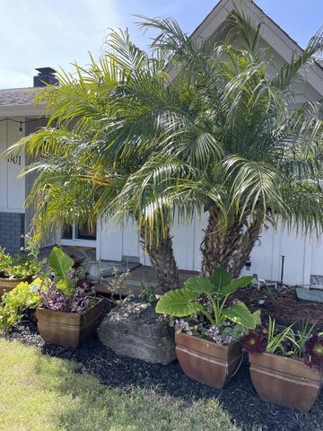 801 Monica Lane, Campbell, CA 95008