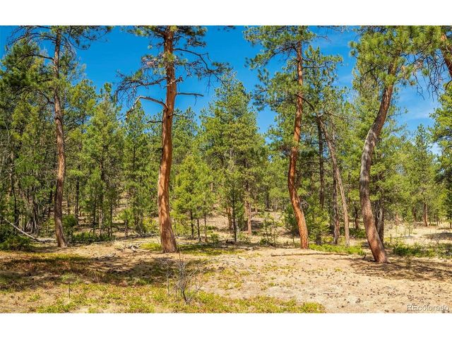 29700 S Sunset Trl, Conifer, CO 80433