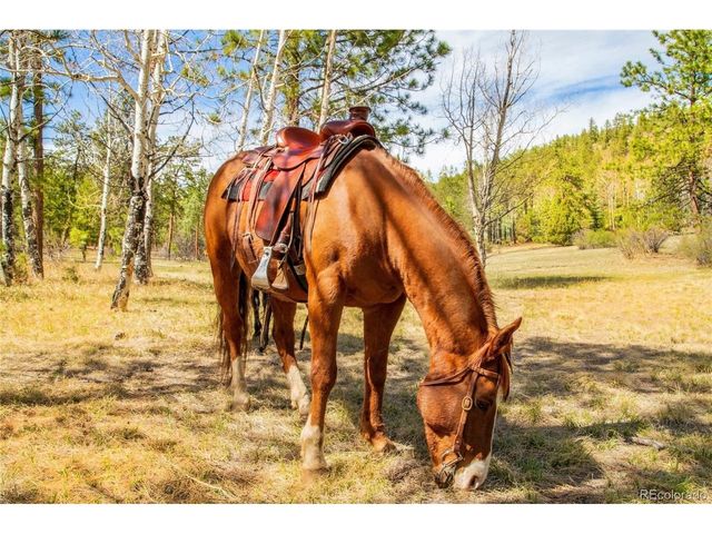 29700 S Sunset Trl, Conifer, CO 80433