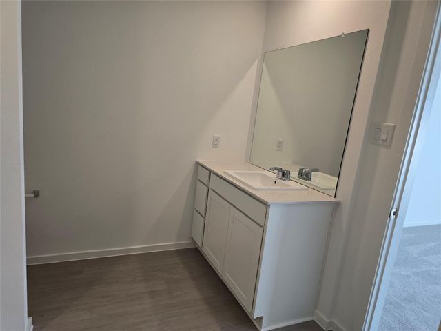 21531 Willow River Canyon Lane, Waller, TX 77484