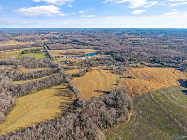 7525 Upper Snake Road, Athens, AL 35614