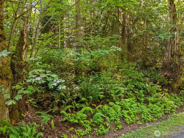 0 Oak Bay Road, Port Ludlow, WA 98365