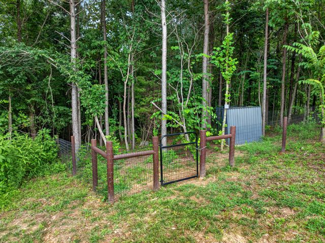 3931 Hwy 231, Erin, TN 37061