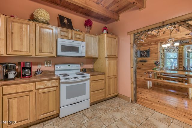 160 Conley Stevens Road, Roan Mountain, TN 37687