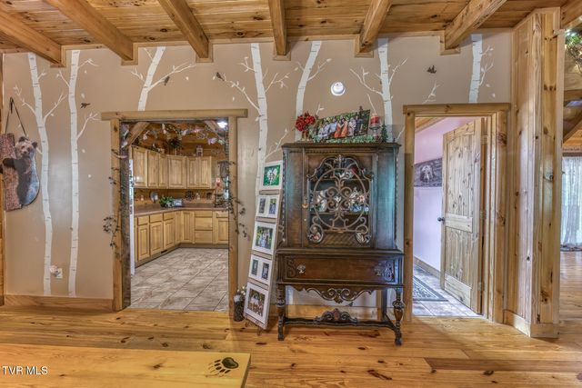 160 Conley Stevens Road, Roan Mountain, TN 37687