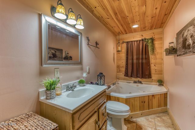 160 Conley Stevens Road, Roan Mountain, TN 37687