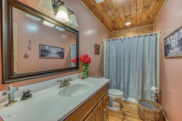 160 Conley Stevens Road, Roan Mountain, TN 37687