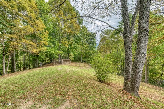 160 Conley Stevens Road, Roan Mountain, TN 37687