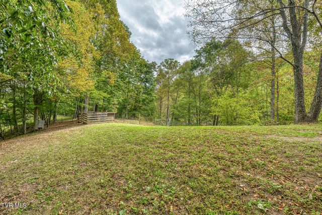 160 Conley Stevens Road, Roan Mountain, TN 37687