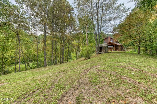 160 Conley Stevens Road, Roan Mountain, TN 37687