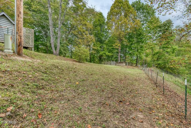 160 Conley Stevens Road, Roan Mountain, TN 37687