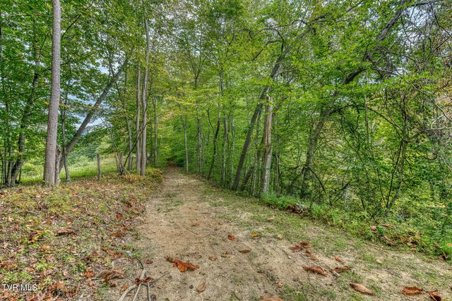 160 Conley Stevens Road, Roan Mountain, TN 37687