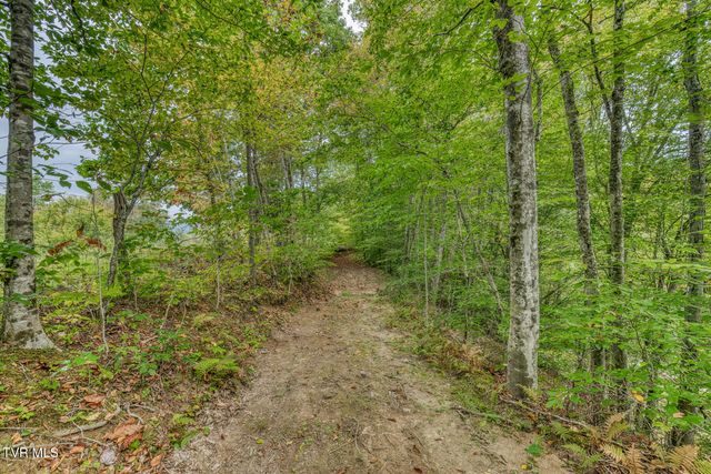 160 Conley Stevens Road, Roan Mountain, TN 37687