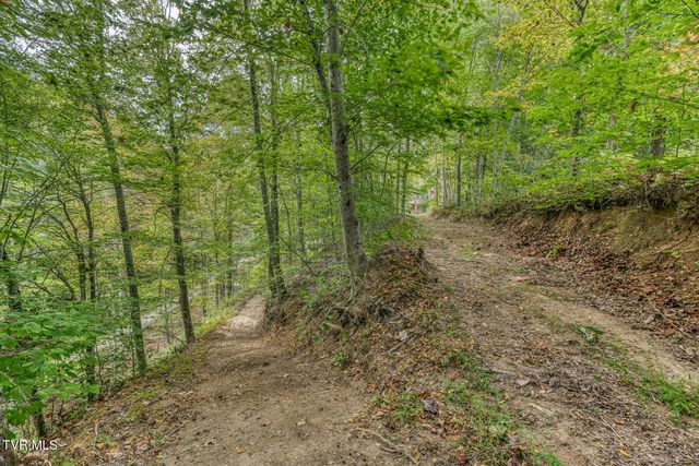 160 Conley Stevens Road, Roan Mountain, TN 37687