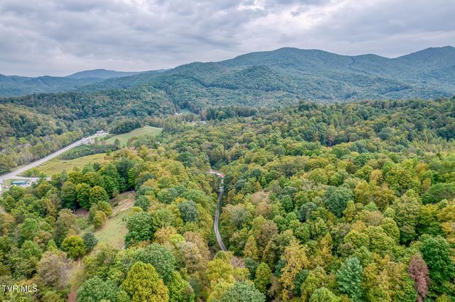 160 Conley Stevens Road, Roan Mountain, TN 37687