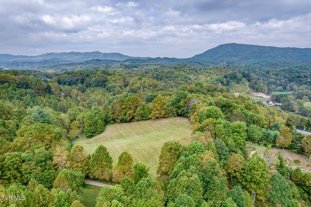 160 Conley Stevens Road, Roan Mountain, TN 37687