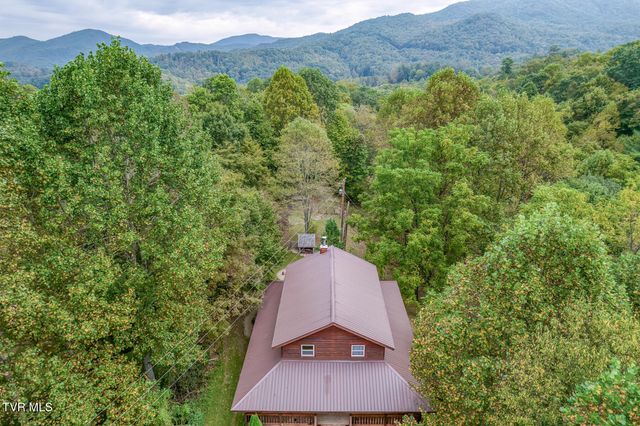 160 Conley Stevens Road, Roan Mountain, TN 37687