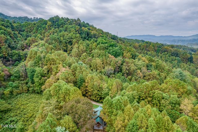 160 Conley Stevens Road, Roan Mountain, TN 37687